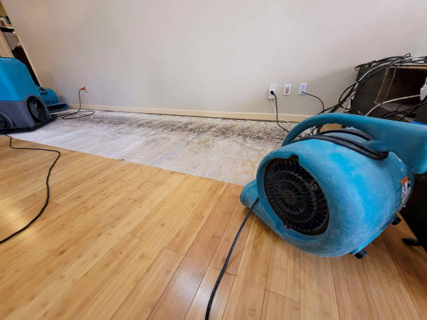 Reliable Basement Flood Cleanup contractor in Bangor, WI by Hirex Water Damage