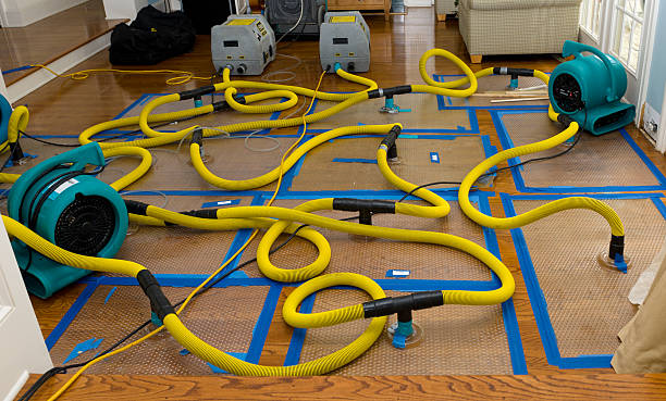 Professional Basement Flood Cleanup technician working in Bangor, WI